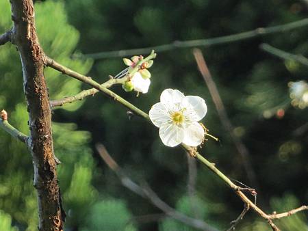 IMG_5780 IMG_5780