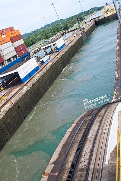 IMG_4740.jpg IMG_4740.jpg