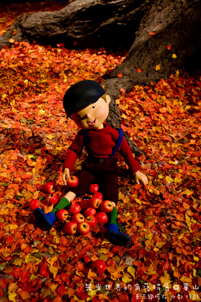 IMG_6316.jpg IMG_6316.jpg