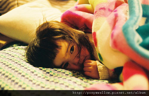 0418-kotorikawashima-3.jpg 0418-kotorikawashima-3.jpg