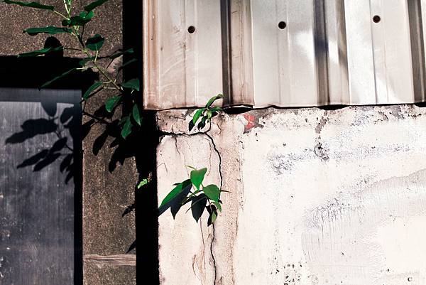 IMG_9683.jpg IMG_9683.jpg