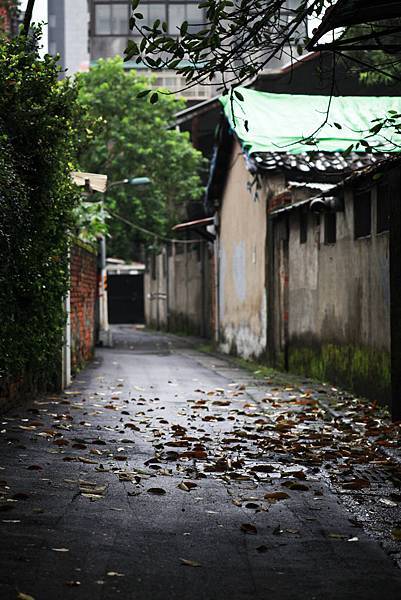 IMG_5661.jpg IMG_5661.jpg