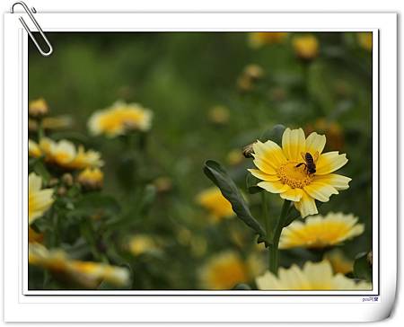 IMG_4378 IMG_4378