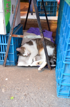 DSC_1283.JPG DSC_1283.JPG