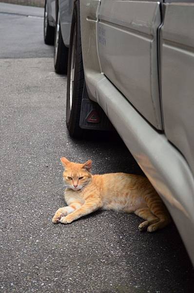 DSC_1091.JPG DSC_1091.JPG