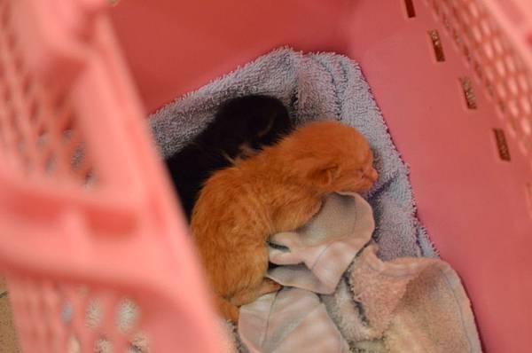 DSC_3682.JPG DSC_3682.JPG