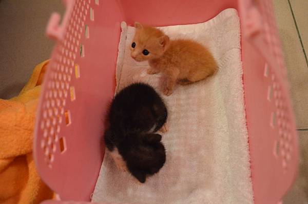 DSC_4659.JPG DSC_4659.JPG