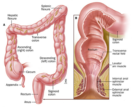 gay oral sex techniques. 50 older mag ... a666e3b2f3d6d750e74c827def3a6122 gay oral sex techniques. 50 older mag ...