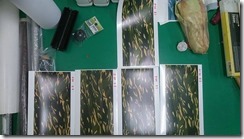 10686891_330817683776789_7932186586996657188_n