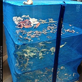 IMG_2595.JPG IMG_2595.JPG