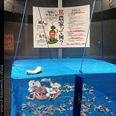 IMG_2596.JPG IMG_2596.JPG