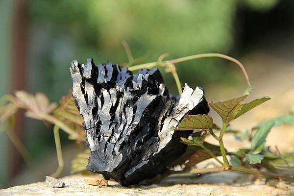 木炭的家 木炭的家