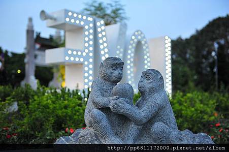 DSC_7538 DSC_7538