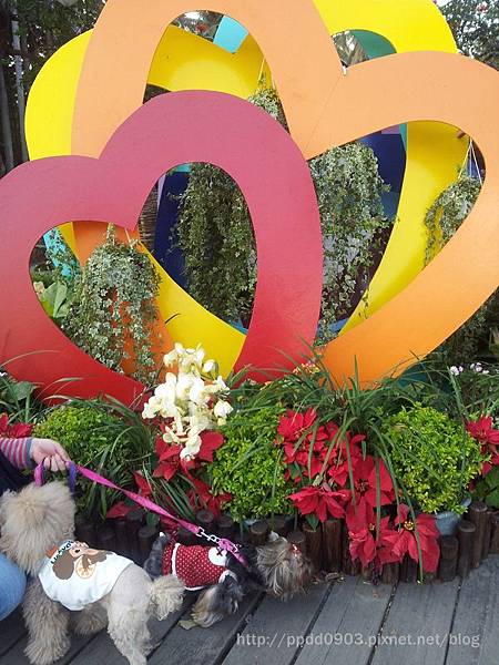 20130214_163810 20130214_163810