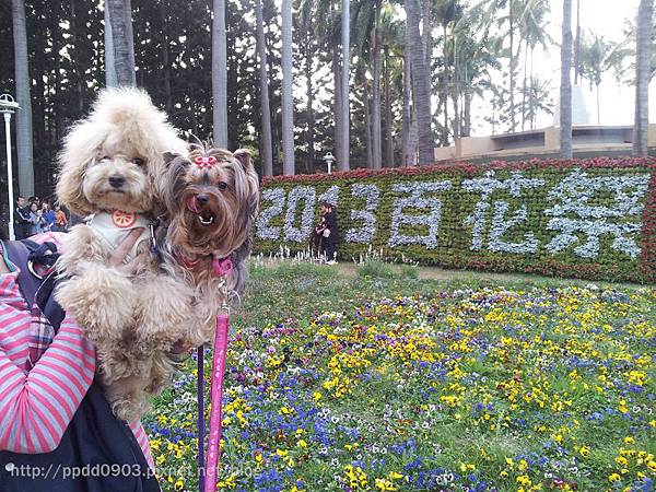 20130214_164250 20130214_164250