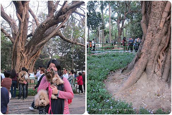 IMG_1804(001)-1 IMG_1804(001)-1