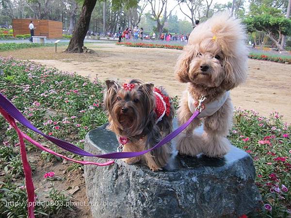 IMG_1809(001) IMG_1809(001)