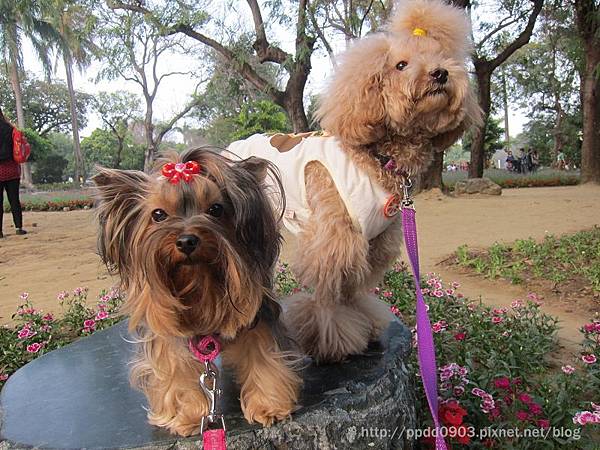 IMG_1812(001) IMG_1812(001)