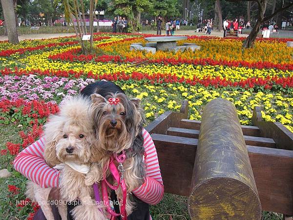 IMG_1813(001) IMG_1813(001)