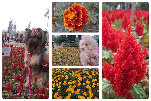 IMG_1816(001)-1 IMG_1816(001)-1