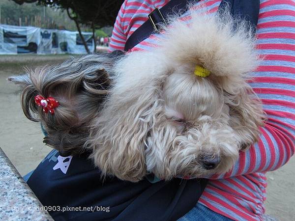 IMG_1839(001) IMG_1839(001)