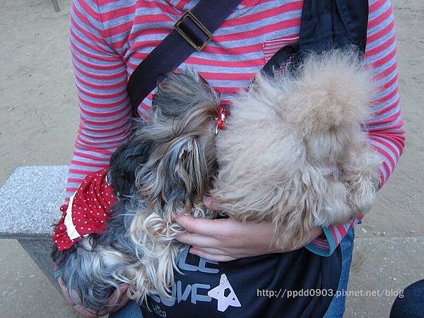 IMG_1841(001) IMG_1841(001)