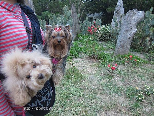 IMG_1845(001) IMG_1845(001)