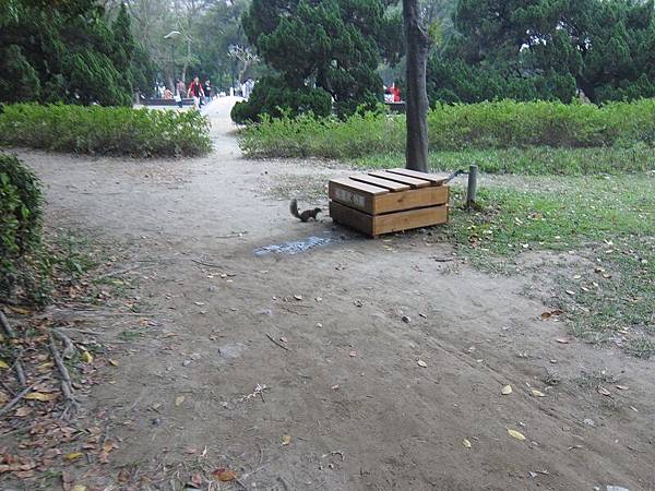 IMG_1850(001) IMG_1850(001)