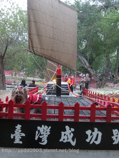 IMG_1853(001) IMG_1853(001)