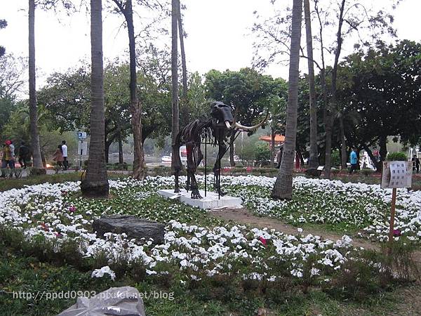 IMG_1856(001) IMG_1856(001)