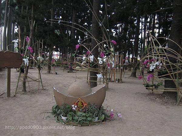 IMG_1857(001) IMG_1857(001)