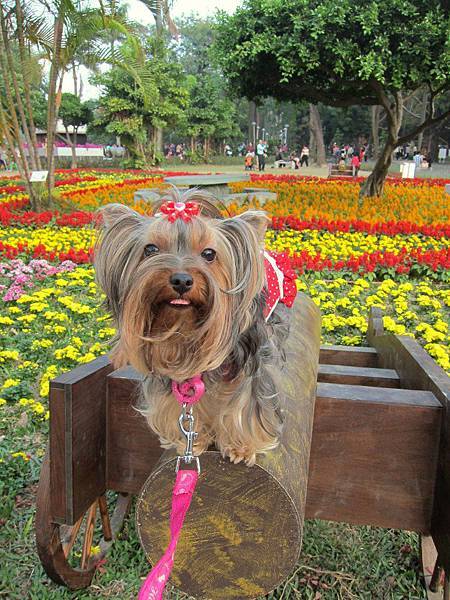 563181_2840708512270_1232725599_n