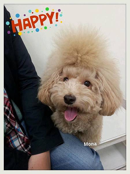 385314_577592062254996_604264221_n 385314_577592062254996_604264221_n