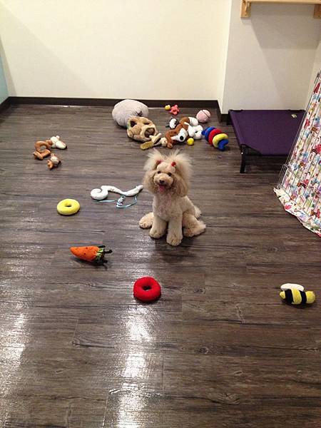 16701_752807318110702_833331338424758470_n