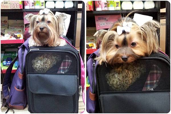 63401-1.jpg 63401-1.jpg