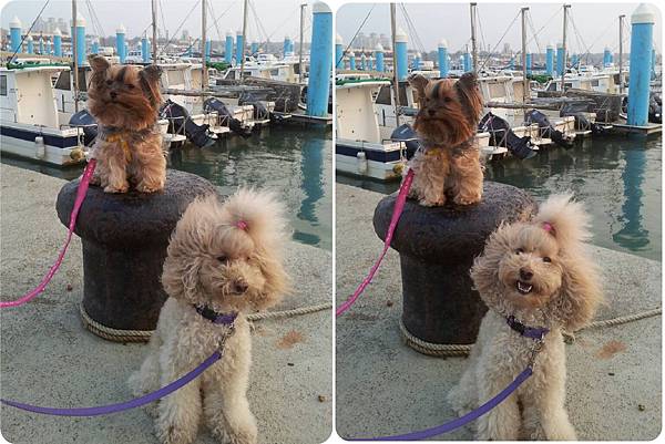 63404=1.jpg 63404=1.jpg