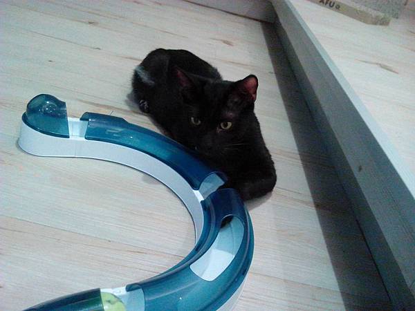 101695.jpg 101695.jpg