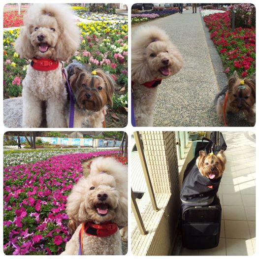 日常生活 日常生活