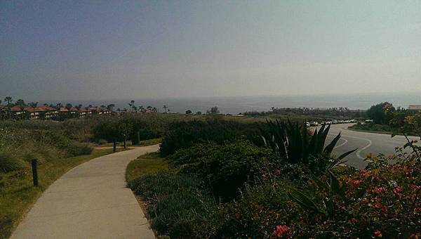 154382.jpg 154382.jpg