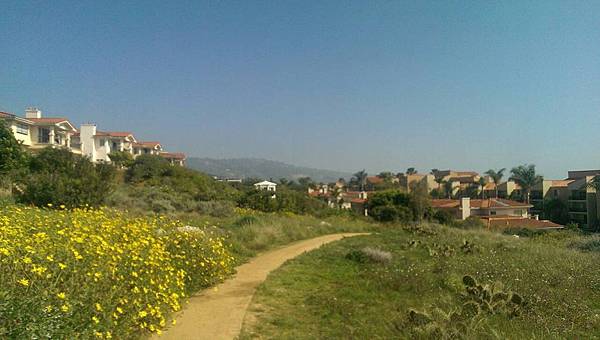 154387.jpg 154387.jpg