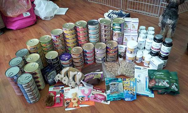 11034908_10200195253639479_7871846806566019557_n (1)