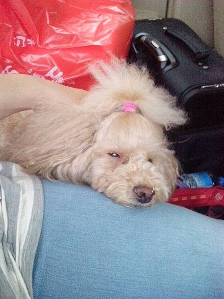 166901.jpg 166901.jpg