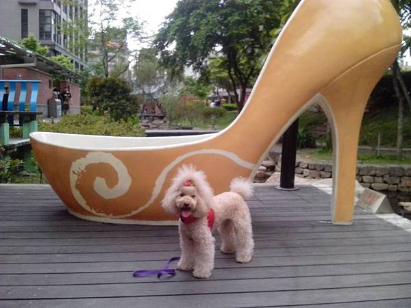 166903.jpg 166903.jpg