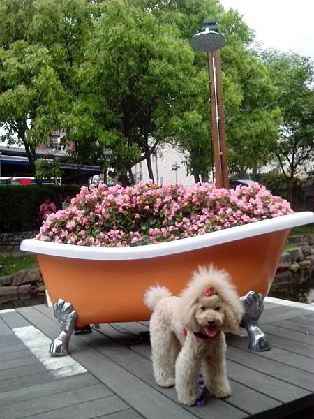 166902.jpg 166902.jpg