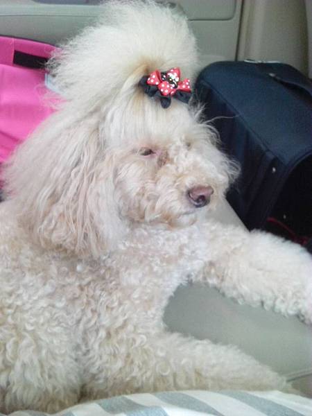 166907.jpg 166907.jpg