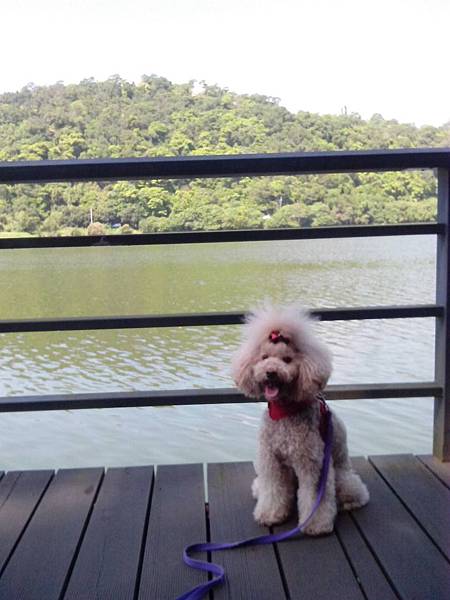 166908.jpg 166908.jpg