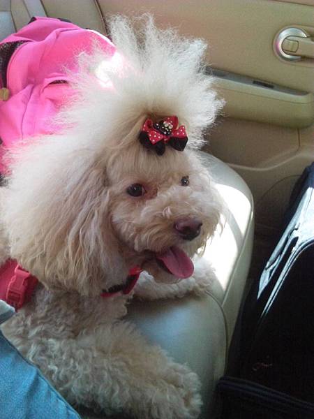 166909.jpg 166909.jpg