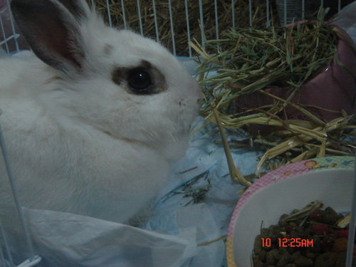 ap_F23_20091117090355103.jpg ap_F23_20091117090355103.jpg