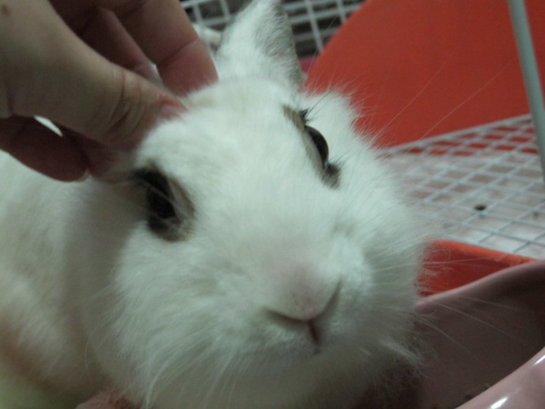 IMG_0572.JPG IMG_0572.JPG