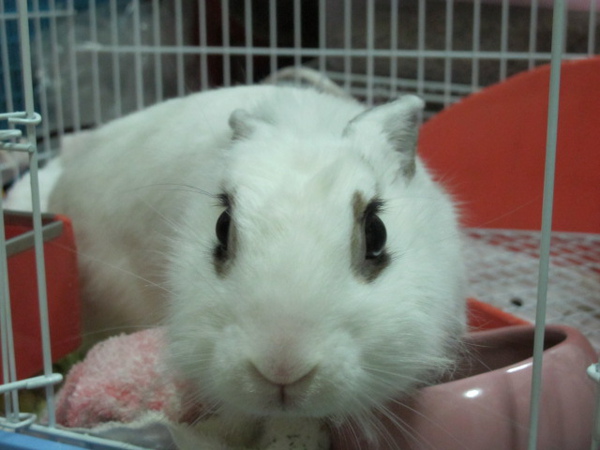 IMG_0575.JPG IMG_0575.JPG